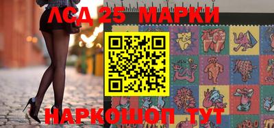 индика Можга