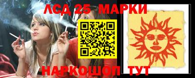 индика Можга