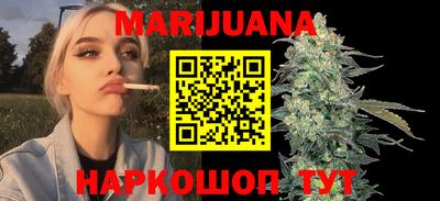 индика Можга