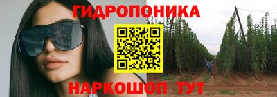 СК Моздок