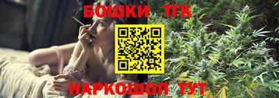 индика Можга