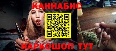 индика Можга