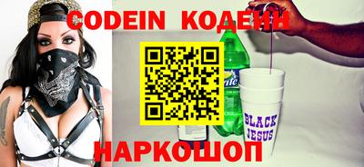 индика Можга