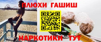 индика Можга